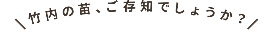 竹内の苗、ご存知でしょうか？